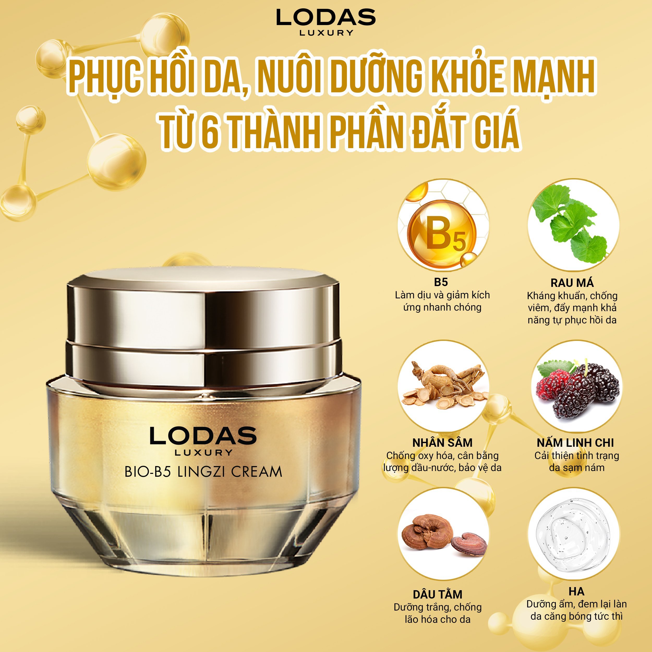 Bio B5 Lingzi Creamface phục hồi